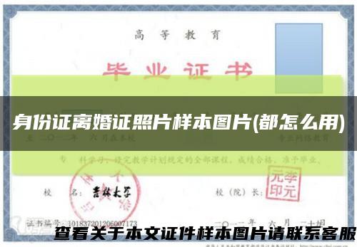 身份證離婚證照片樣本圖片(都怎么用)縮略圖