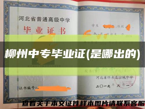 柳州中專畢業證(是哪出的)縮略圖