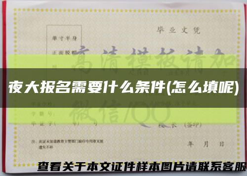 夜大報名需要什么條件(怎么填呢)縮略圖