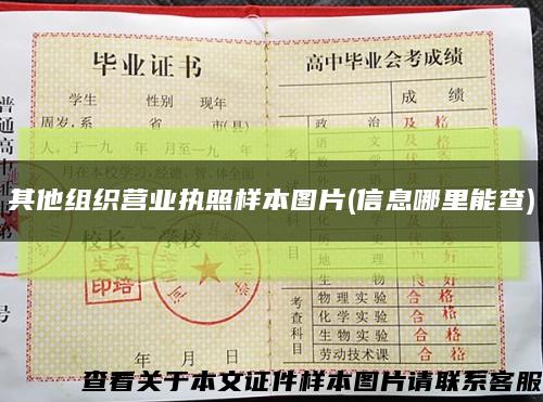 其他組織營業執照樣本圖片(信息哪里能查)縮略圖