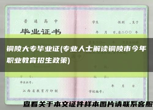 銅陵大專畢業證(專業人士解讀銅陵市今年職業教育招生政策)縮略圖