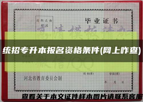統招專升本報名資格條件(網上咋查)縮略圖