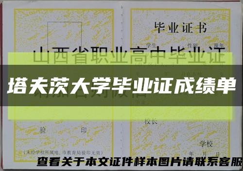 塔夫茨大學畢業證成績單縮略圖