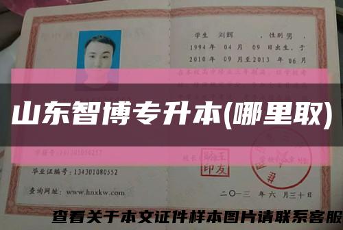 山東智博專升本(哪里取)縮略圖