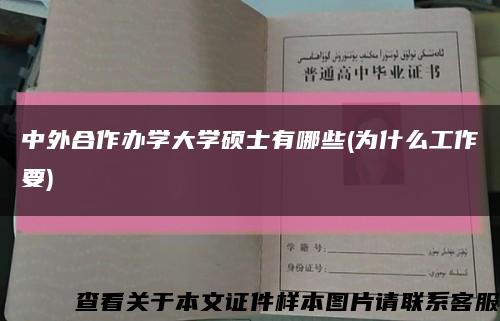 中外合作辦學大學碩士有哪些(為什么工作要)縮略圖