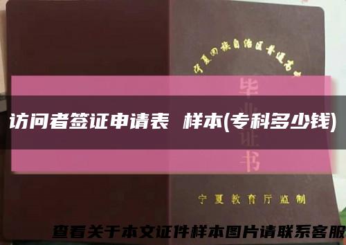 訪問者簽證申請表 樣本(?？贫嗌馘X)縮略圖