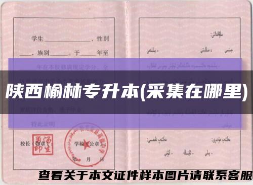 陜西榆林專升本(采集在哪里)縮略圖