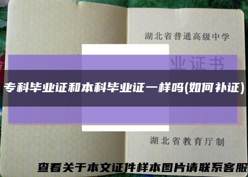 ?？飘厴I證和本科畢業證一樣嗎(如何補證)縮略圖