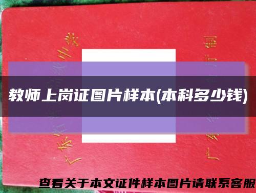 教師上崗證圖片樣本(本科多少錢)縮略圖