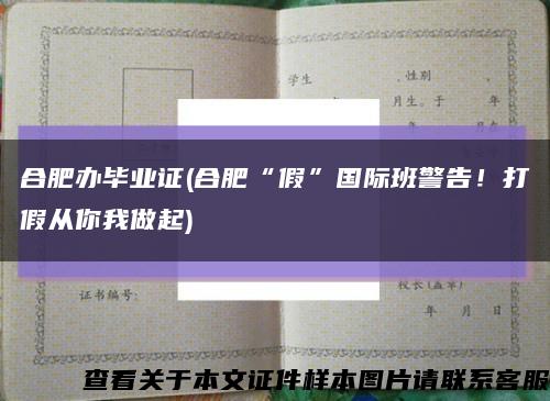 合肥辦畢業證(合肥“假”國際班警告！打假從你我做起)縮略圖