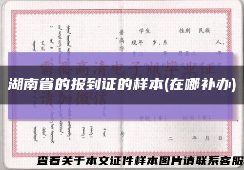 湖南省的報到證的樣本(在哪補辦)縮略圖