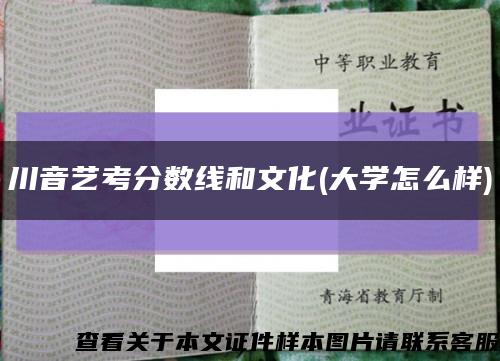 川音藝考分數線和文化(大學怎么樣)縮略圖