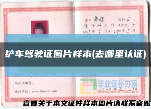 鏟車駕駛證圖片樣本(去哪里認證)縮略圖