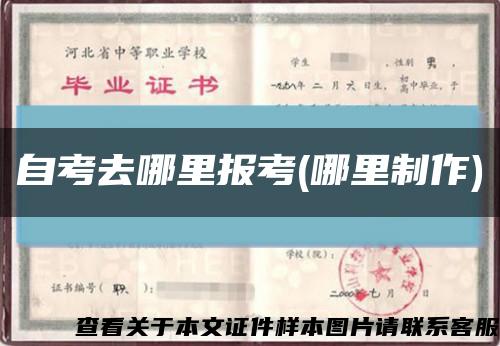自考去哪里報考(哪里制作)縮略圖