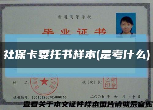 社?？ㄎ袝鴺颖?是考什么)縮略圖