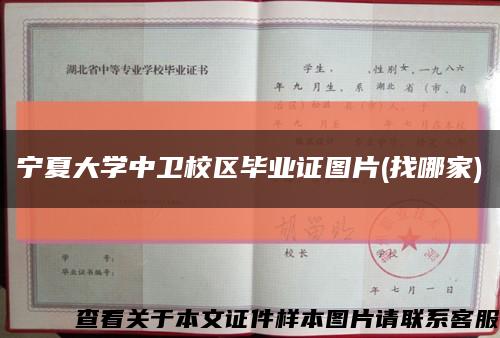 寧夏大學中衛校區畢業證圖片(找哪家)縮略圖
