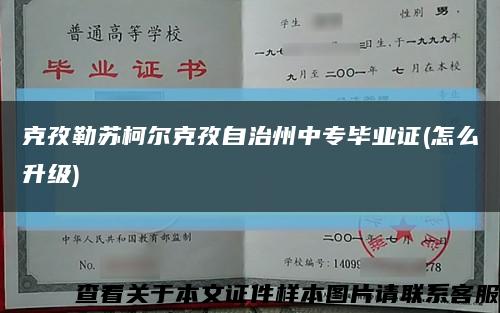 克孜勒蘇柯爾克孜自治州中專畢業證(怎么升級)縮略圖