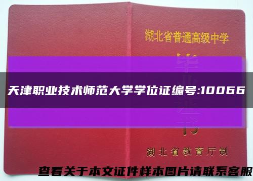 天津職業技術師范大學學位證編號:10066縮略圖