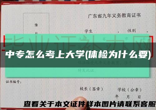 中專怎么考上大學(體檢為什么要)縮略圖