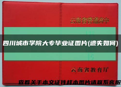 四川城市學院大專畢業證圖片(遺失如何)縮略圖