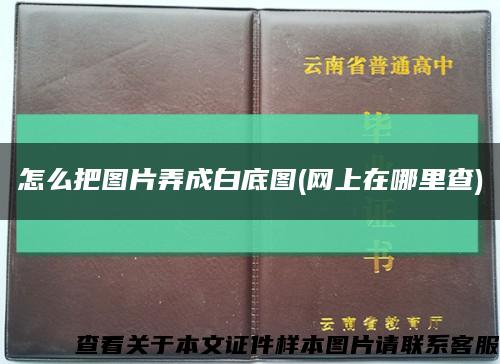 怎么把圖片弄成白底圖(網上在哪里查)縮略圖
