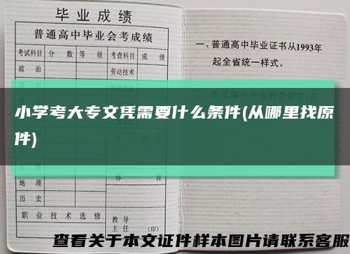 小學考大專文憑需要什么條件(從哪里找原件)縮略圖
