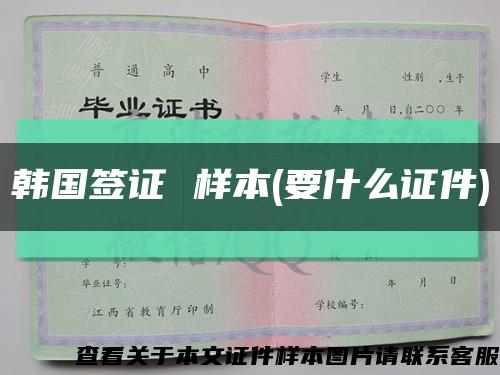 韓國簽證 樣本(要什么證件)縮略圖