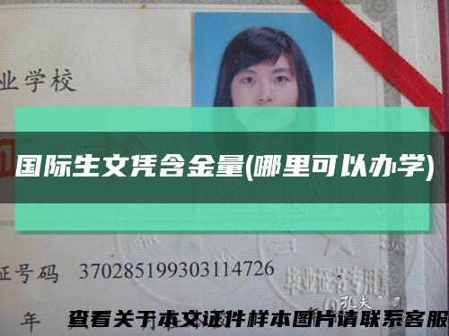 國際生文憑含金量(哪里可以辦學)縮略圖