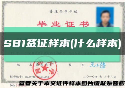 SB1簽證樣本(什么樣本)縮略圖