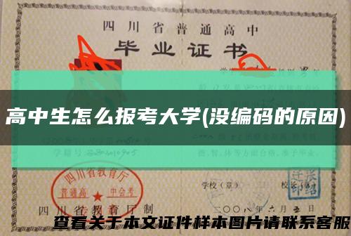 高中生怎么報考大學(沒編碼的原因)縮略圖