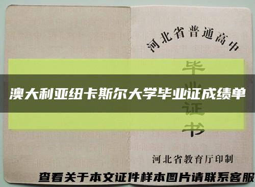 澳大利亞紐卡斯爾大學畢業證成績單縮略圖