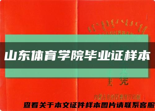 山東體育學院畢業證樣本縮略圖