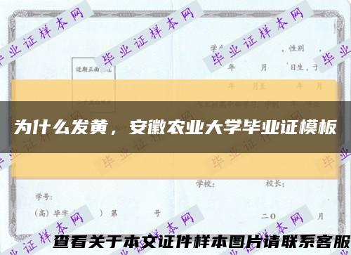 為什么發黃，安徽農業大學畢業證模板縮略圖