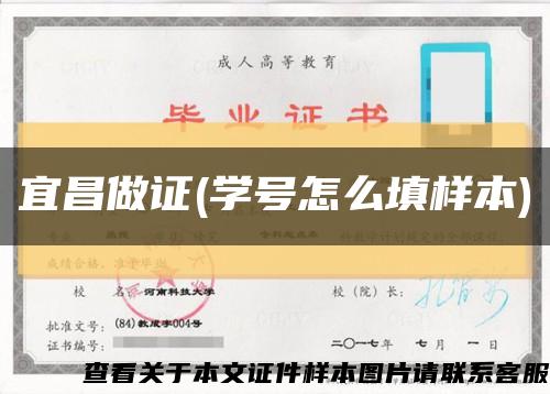 宜昌做證(學號怎么填樣本)縮略圖