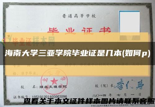 海南大學三亞學院畢業證是幾本(如何p)縮略圖