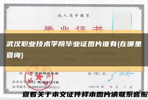 武漢職業技術學院畢業證圖片誰有(在哪里查詢)縮略圖