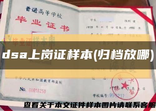 dsa上崗證樣本(歸檔放哪)縮略圖