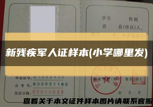 新殘疾軍人證樣本(小學哪里發)縮略圖