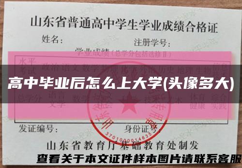 高中畢業后怎么上大學(頭像多大)縮略圖