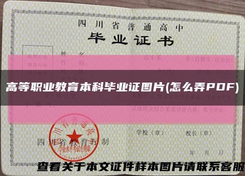 高等職業教育本科畢業證圖片(怎么弄PDF)縮略圖