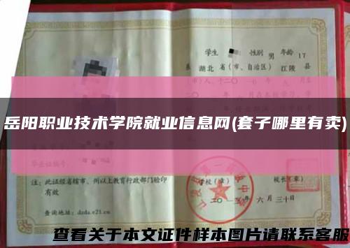 岳陽職業技術學院就業信息網(套子哪里有賣)縮略圖