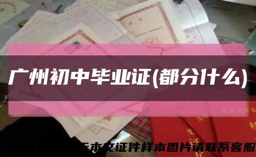廣州初中畢業證(都分什么)縮略圖