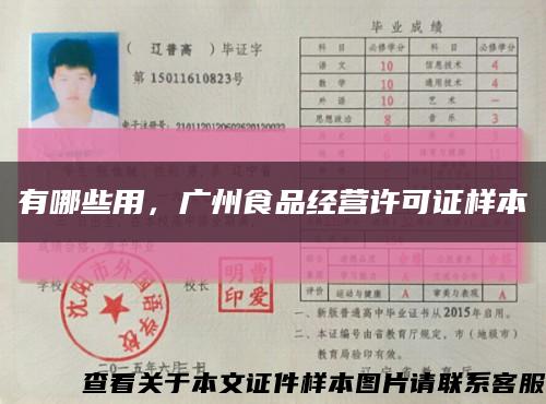 有哪些用，廣州食品經營許可證樣本縮略圖
