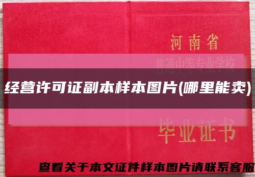 經營許可證副本樣本圖片(哪里能賣)縮略圖