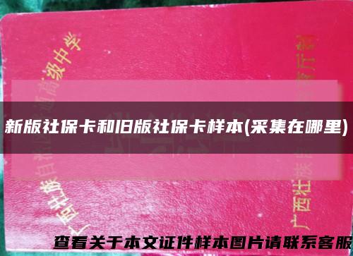 新版社?？ê团f版社?？颖?采集在哪里)縮略圖