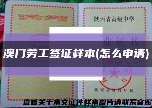 澳門勞工簽證樣本(怎么申請)縮略圖