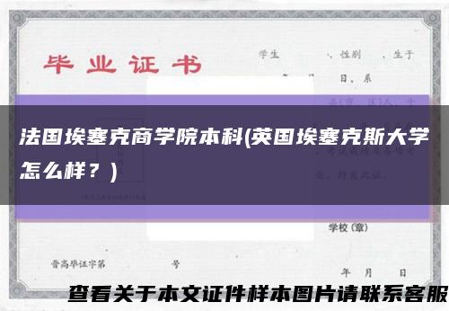 法國埃塞克商學院本科(英國埃塞克斯大學怎么樣？)縮略圖