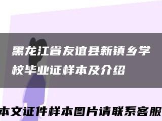 黑龍江省友誼縣新鎮鄉學校畢業證樣本及介紹縮略圖