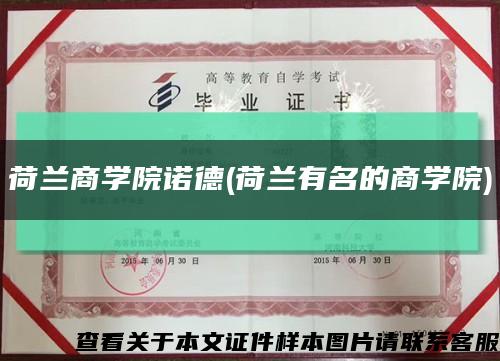 荷蘭商學院諾德(荷蘭有名的商學院)縮略圖