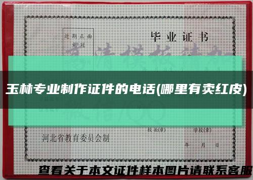 玉林專業制作證件的電話(哪里有賣紅皮)縮略圖